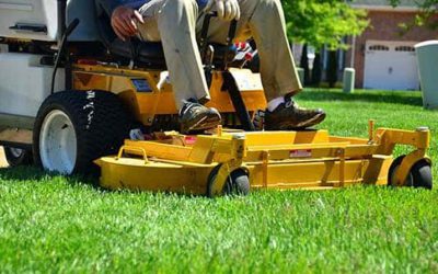 Lawn Care Maintenance For Mere Mortals