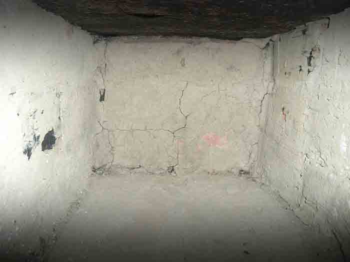 Basement Mold – The Most Common Place In The Home