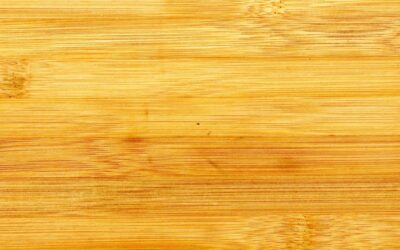 Bamboo Wood Flooring Guide