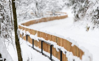 Leaning Fence? Here’s When to Repair vs. Replace