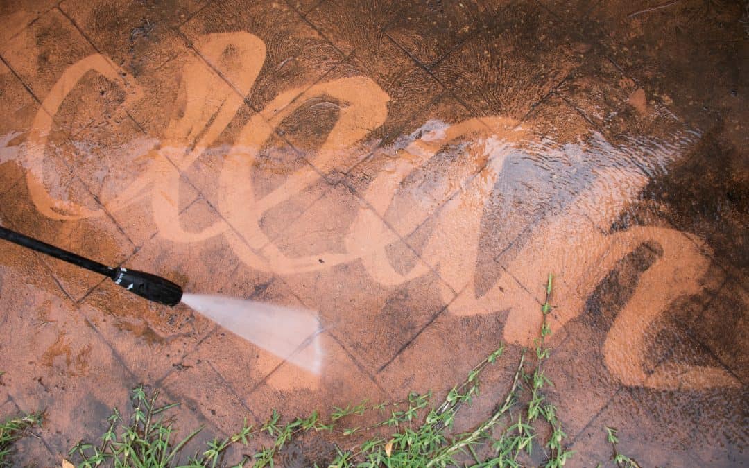 Pressure Wash These 5-cleaning-backyard-with-pressure-washer-spring-cle-2025